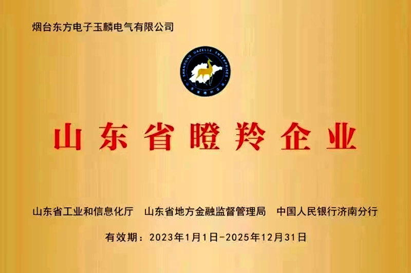 游艇会yth·(中国)最新官方网站